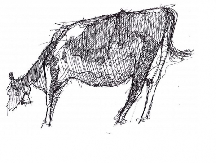divers croquis